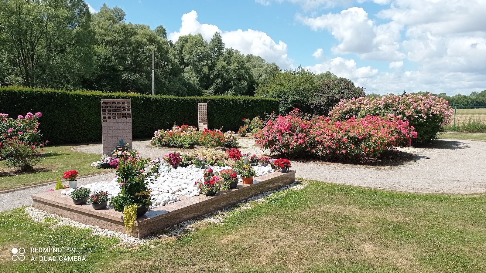 Jardin du souvenir fleuri avec stèles commémoratives