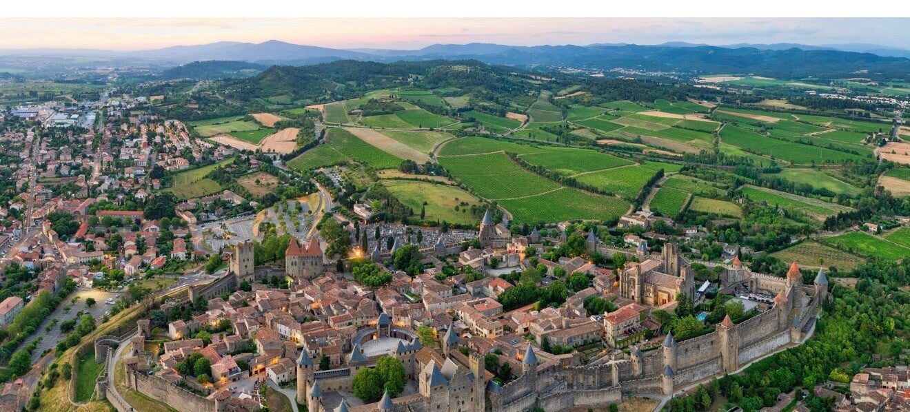 Carcassonne vue panoramique
