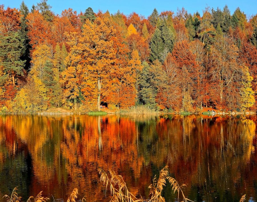 Lac aux reflets d'automne