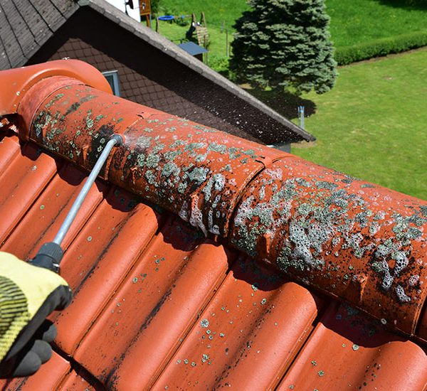 Démoussage couverture La Rochelle Charente-Maritime