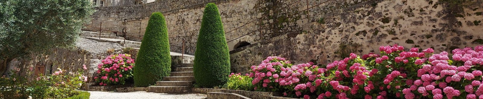 Jardins en terrasse et hortensias du château
