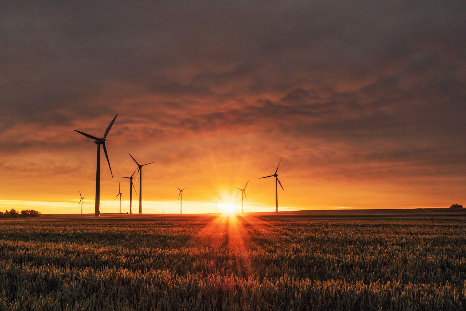 Éoliennes au coucher du soleil, transition énergétique